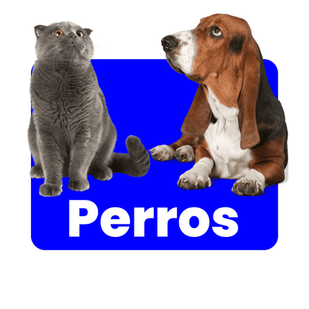 Perros